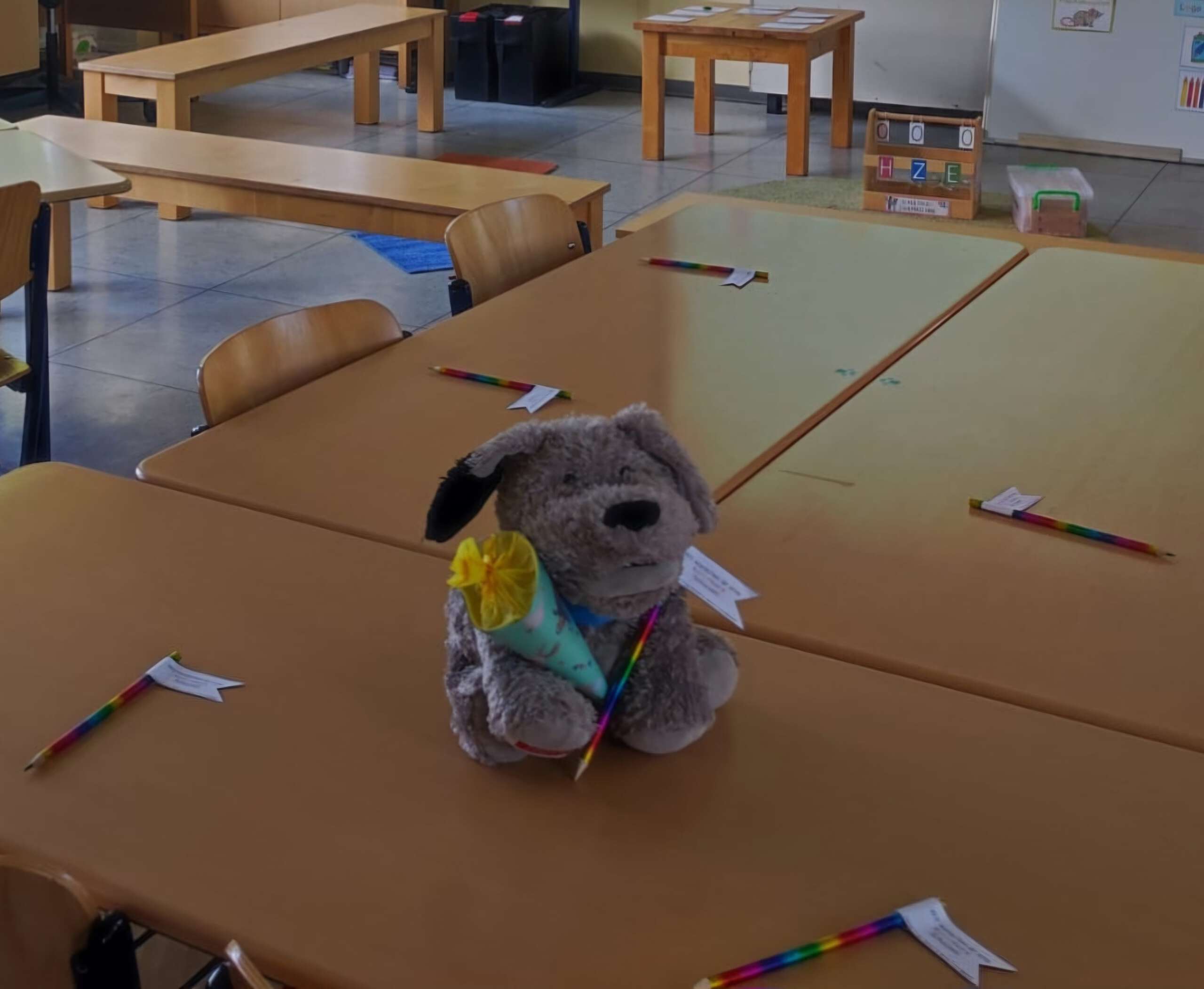 Zauberpfote Klassenhund